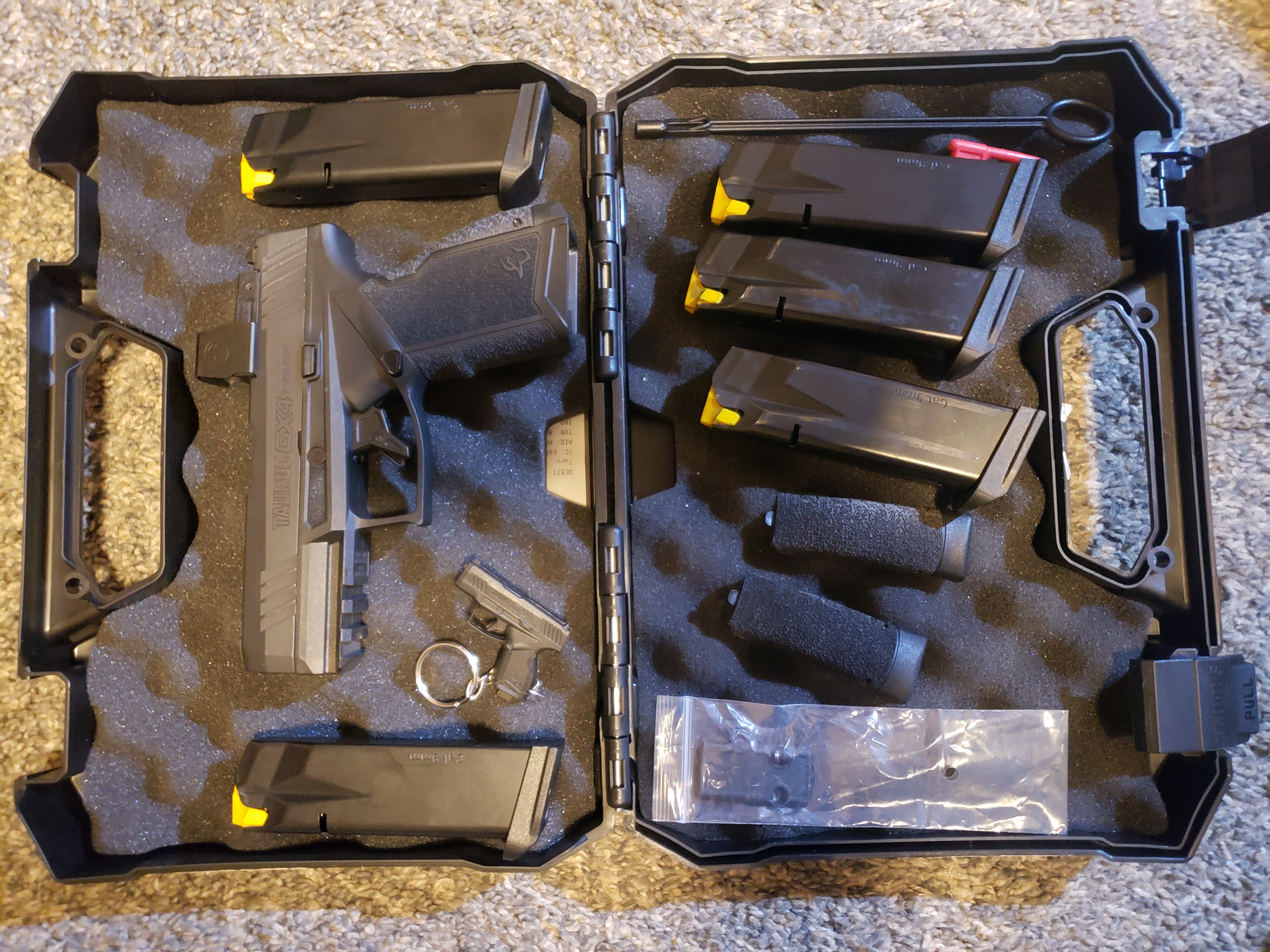 Image of GX4 Carry w/ 5 mags, romeo and og case 